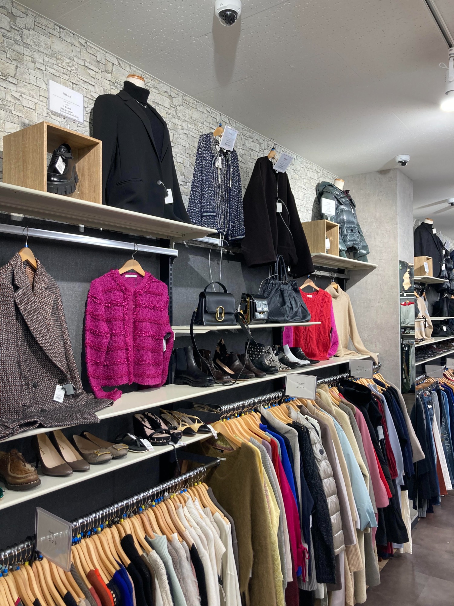 トレポ7倍キャンペーン】トレファク買物週間が始まりました！[2024.11