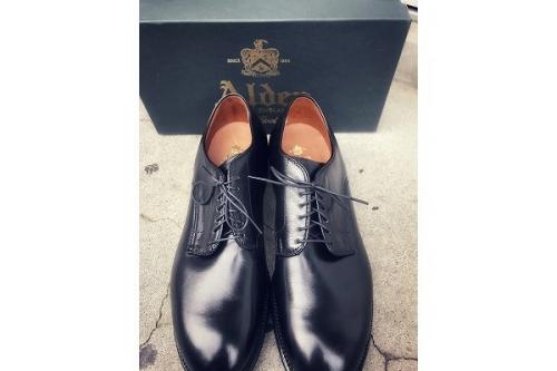 ALDEN/オールデンよりカーフプレーントゥ未使用で入荷致しました