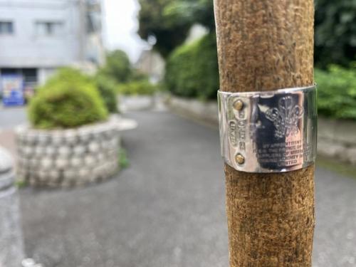 高級傘ブランド【SWAINE ADENEY BRIGG/スウェイン・アドニー