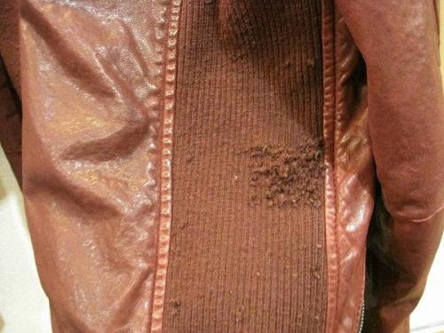 トレファクスタイル高円寺店ブログ画像２