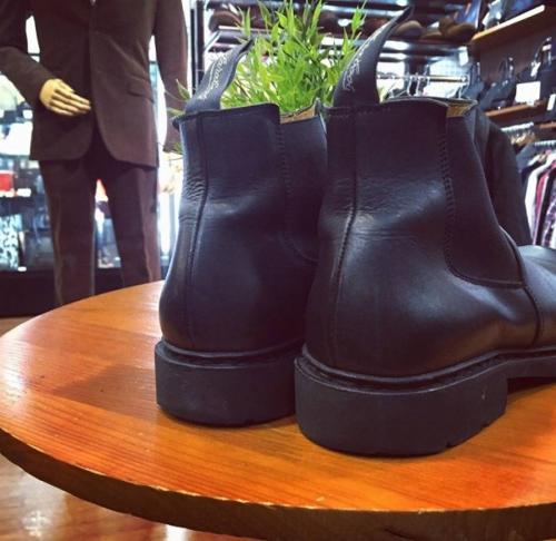 ウェストンのオールデン