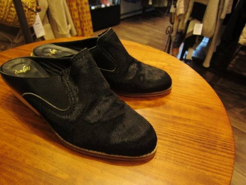 デュルビュイの小田急線