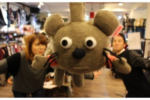 レディースのエイネット