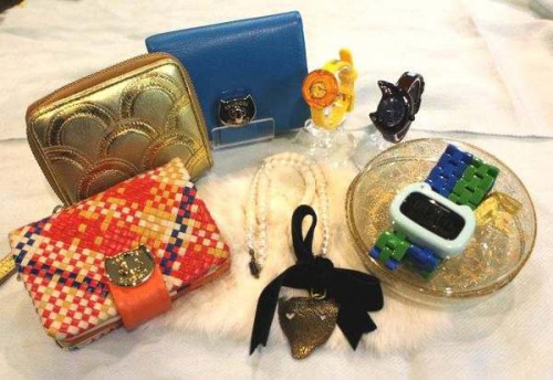 レディースのエイネット