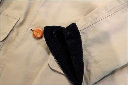 キツネのドメスティック