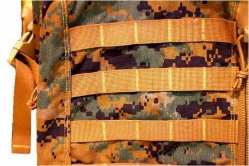 レディースのカモ