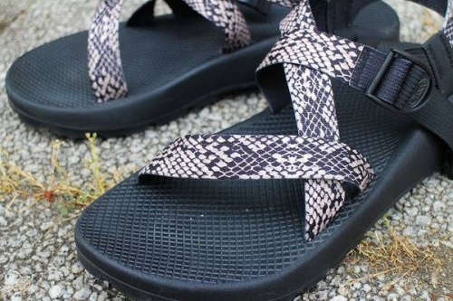 チャコのサンダル