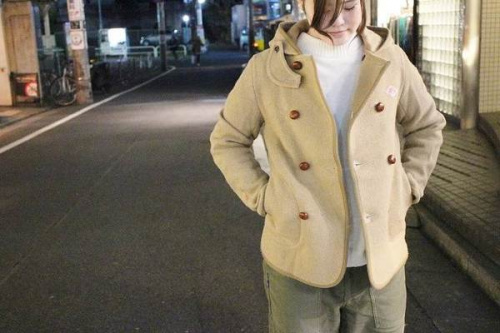 ダントンのモッサウール