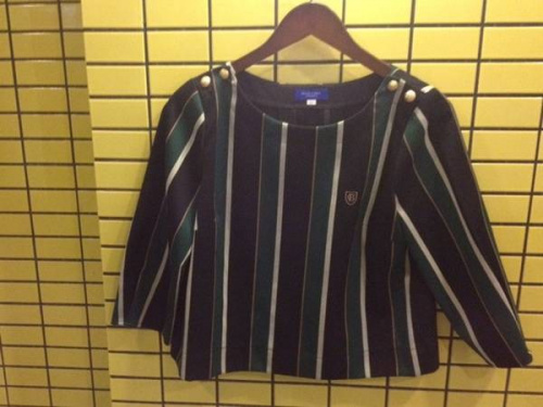 レディースのトップス