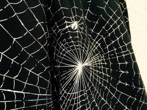 17年03月02日：画像７