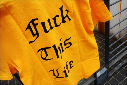 17年04月10日：画像６