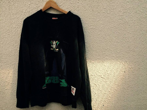 17年04月28日：画像６