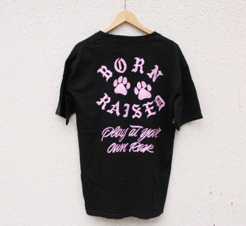 17年05月10日：画像６