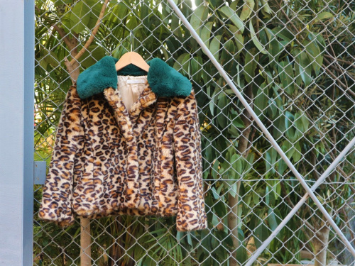 19年01月19日:画像7