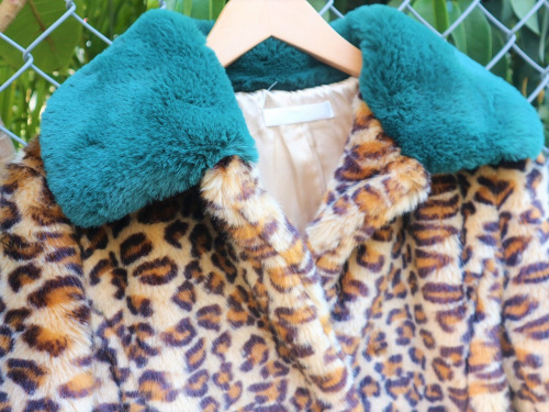 19年01月19日:画像8