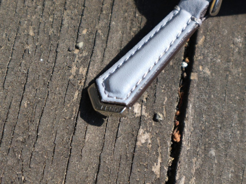 19年04月06日：画像７