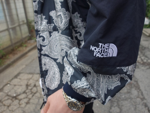 ストリートブランドのTHE NORTH FACE