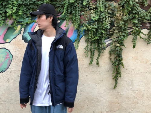 THE NORTH FACEのザノースフェイス