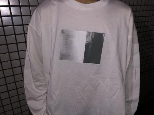 STEINのシュタイン