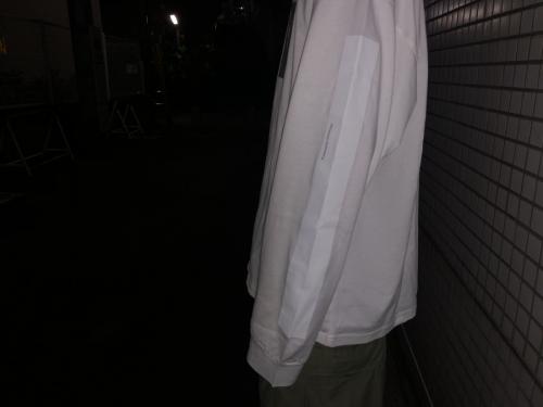 シュタインの20SS