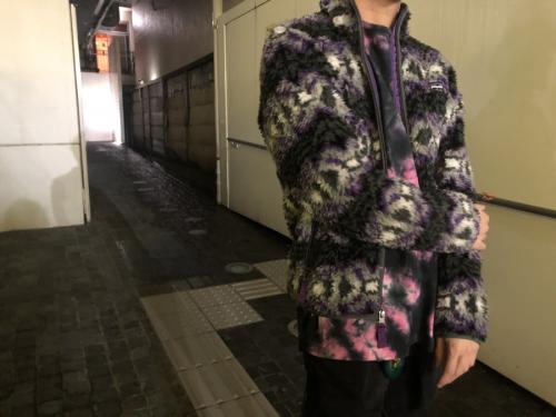 Patagoniaのパタゴニア