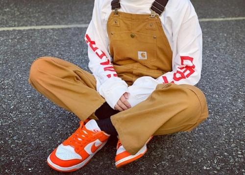 ダブルニー  ダック