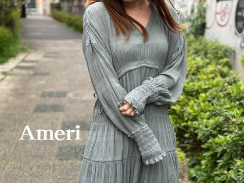 レアアイテムのAmeri Bag