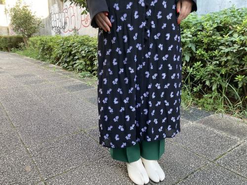 マメ クロゴウチ