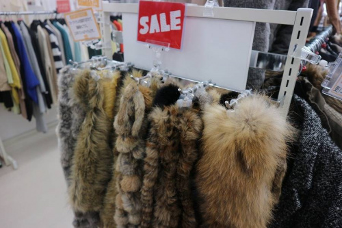 18年02月10日：画像７