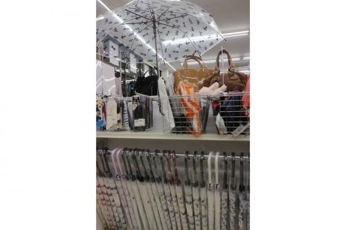 19年11月15日：画像６