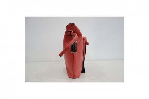 ショルダーバッグのレディース