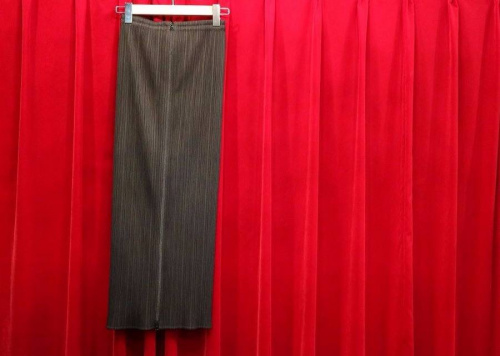 プリーツプリーズ