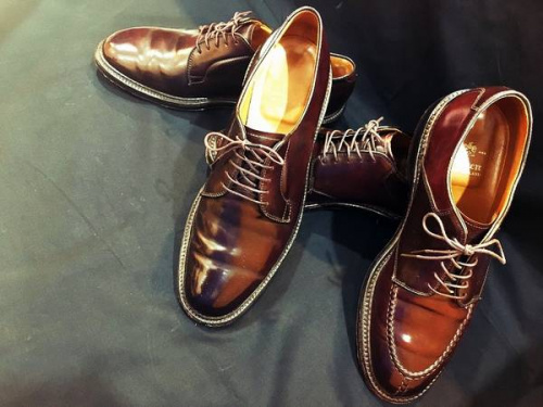 ALDENのオールデン