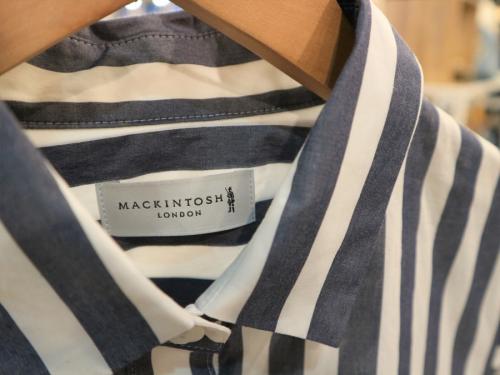 ワンピースのレディース