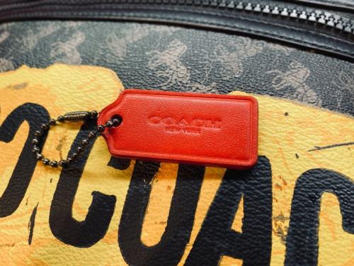 CARRYALL POUCH / クラッチバッグのF84738