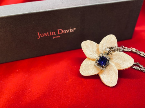 トレファクスタイル相模大野店ブログ画像１