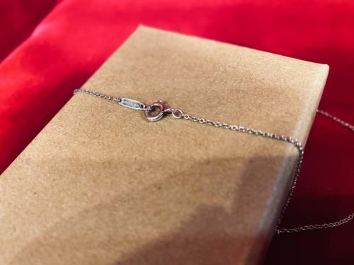 ティファニーのホースシューネックレス