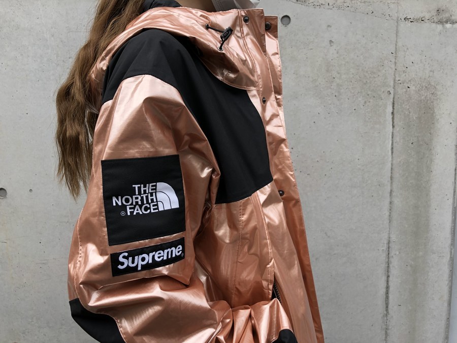 supreme×TheNorthFace metalic