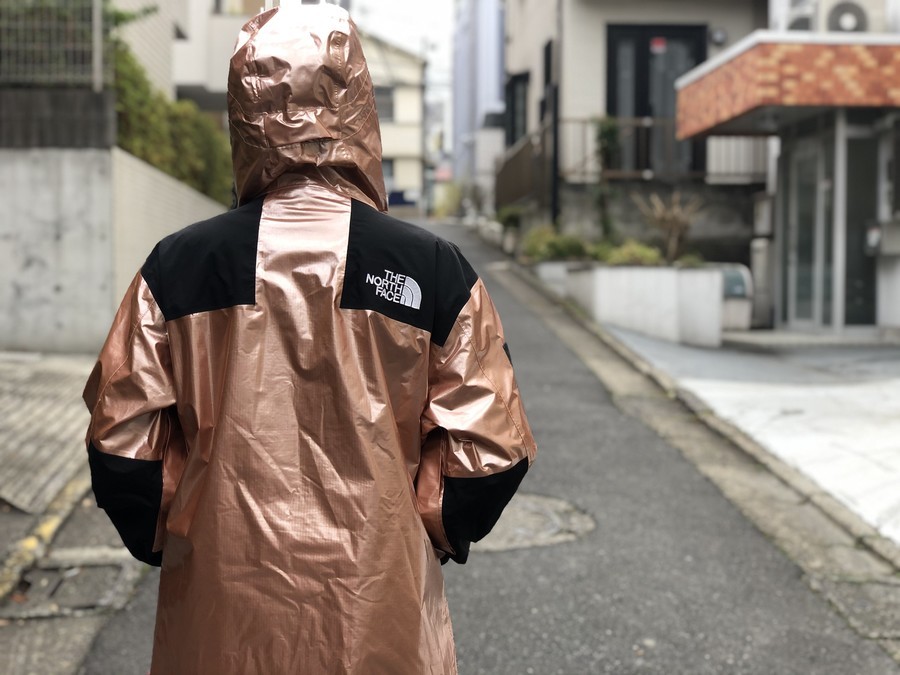 Supreme×The North Face Mountain Gold