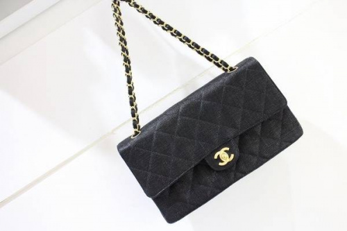 17年03月22日：画像６