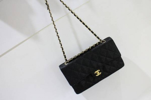 17年03月22日：画像７