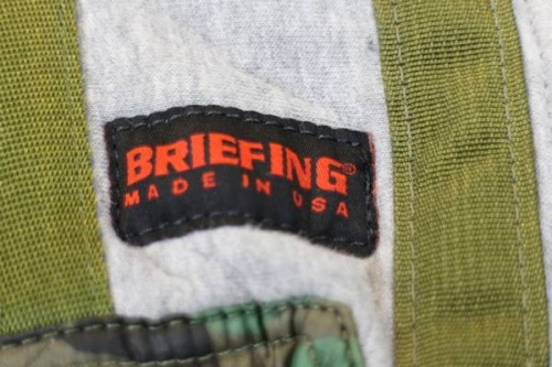 ブリーフィングのループウィラー