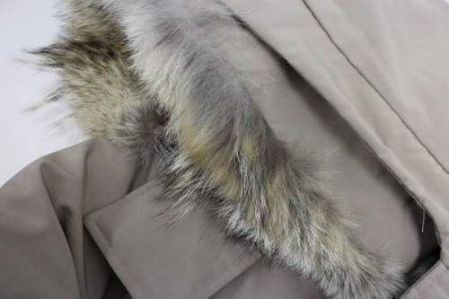 17年10月20日：画像６