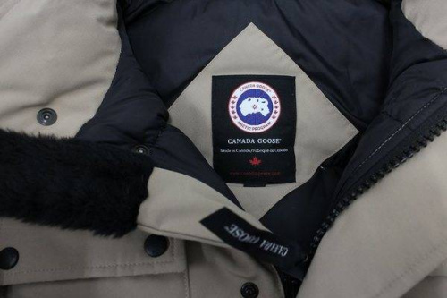 17年10月20日：画像７