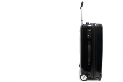 バートンのスーツケース