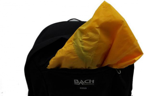 BACHのバッハ