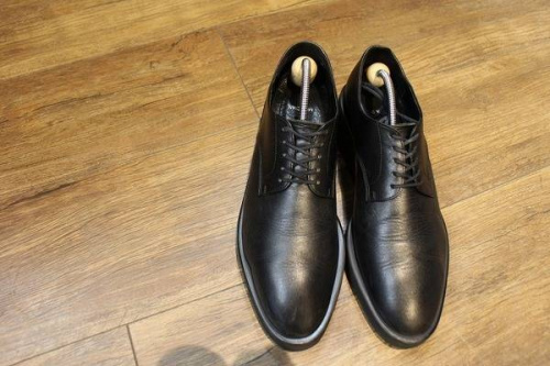 レアアイテムのLADMISICIAN