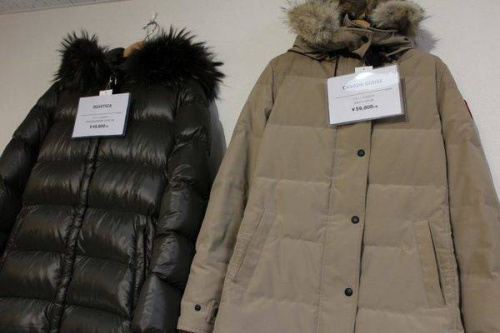 18年10月13日:画像6