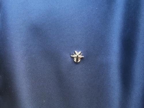 ディオール オムのフィッシュテールグラデーションスタンド