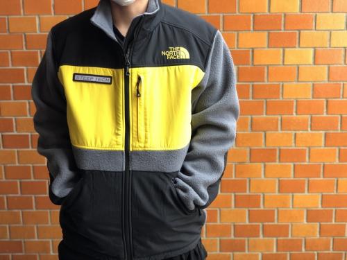 ザノースフェイスのスティーブテックジップフリース